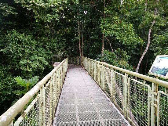 Centro de Descoberta da Floresta Tropical